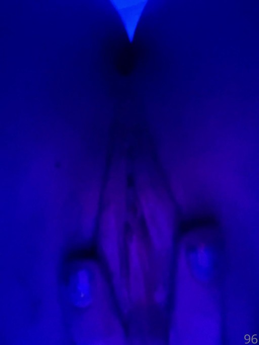 Ally Hardesty Video Masturbation American Medium Ass Caucasian Youtuber Brown Hair Influencers Adult Content Creator Female Instagrammer Onlyfans Solo Solo