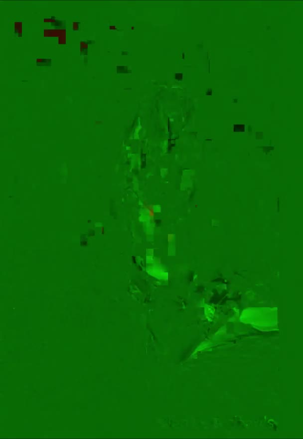 Denise Richards American Public Figure Lingerie Tease Video Actress Big Breasts Female Xer Onlyfans Blonde Adult Content Creator Instagrammer Facebooker